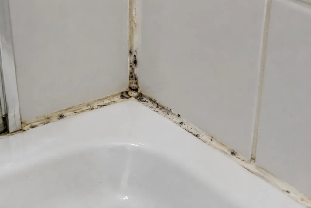 Kitbedrijf Den Bosch – beschimmelde kitranden